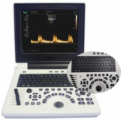 Calidad  12in LCD Display Veterinary Ultrasound Equipment For Large Animals FDA ISO Fábrica
