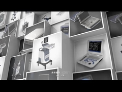 Perfil de la empresa